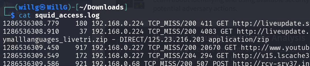 Initial `cat` of `squid_access.log`